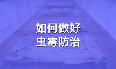 檔案修復(fù)后，如何做好蟲霉防治